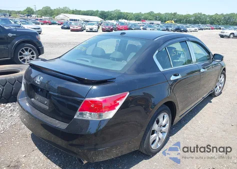 2010 Honda Accord Sdn 2.4 Ex-L/Ex-L из США, поврежденный, VIN 1HGCP2F8XAA068773